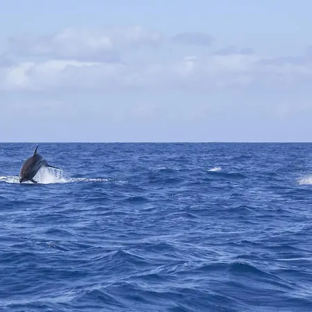 Graviana - Pedra Lima Charming House