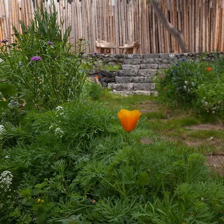 Graviana - Pedra Lima Charming House Апартаменты *