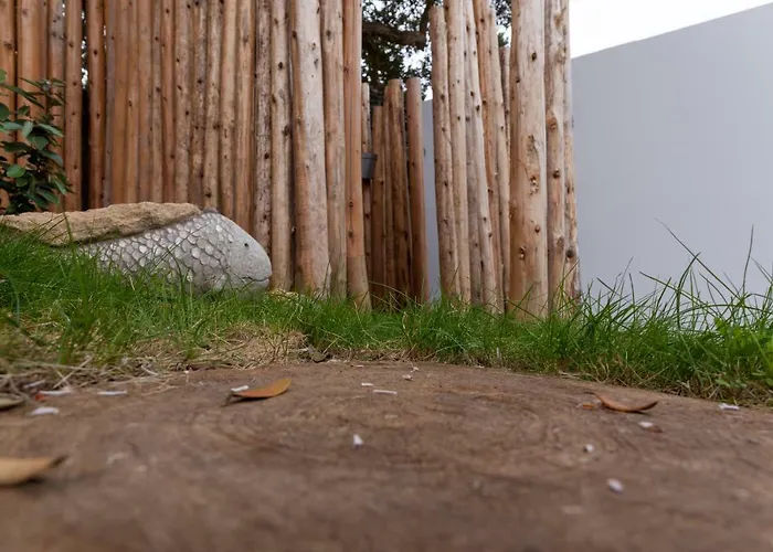 Graviana - Pedra Lima Charming House Lagoa (Azores)