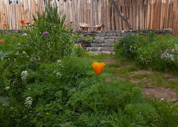 Graviana - Pedra Lima Charming House Appartement *