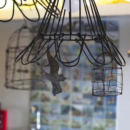 Graviana - Pedra Lima Charming House * 라고아