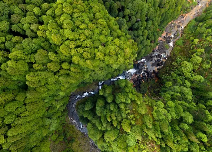 Apartmán Graviana - Pedra Lima Charming House *