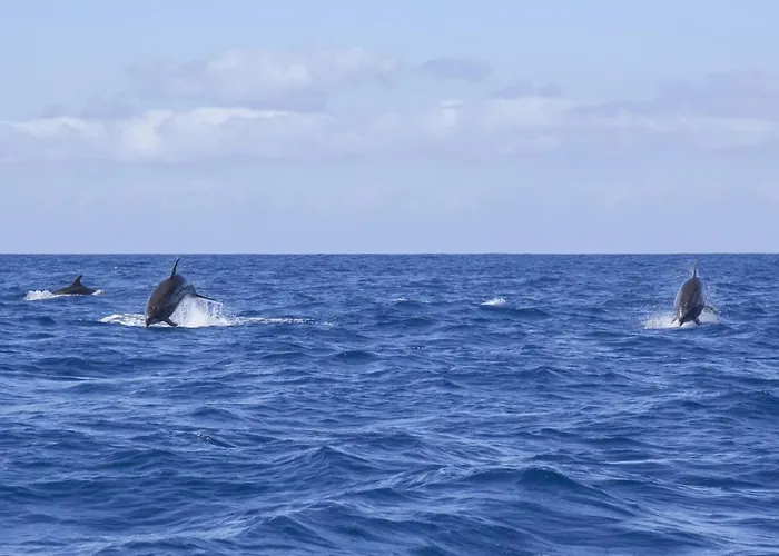 Graviana - Pedra Lima Charming House
