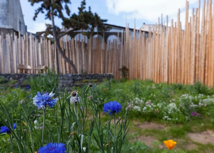 Graviana - Pedra Lima Charming House Lejlighed *